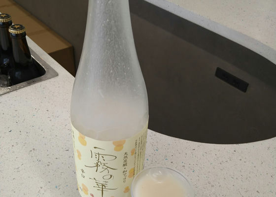 霧の華 签到 1