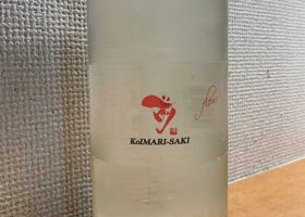 Koimari Saki Check-in 1
