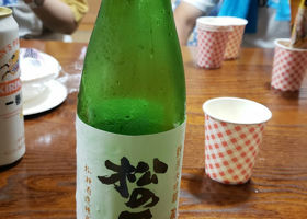 alt 3