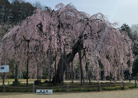 十一正宗 チェックイン 3