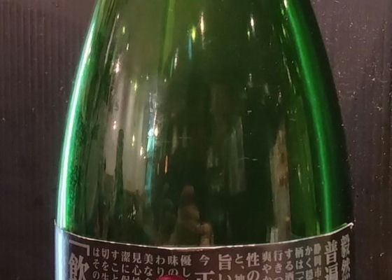 alt 1