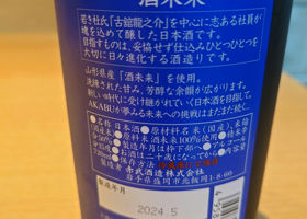 alt 3
