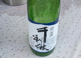 alt 1