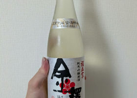 alt 1