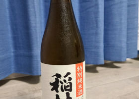 alt 1