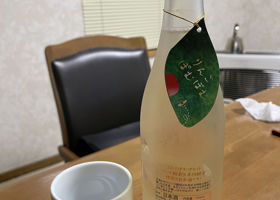 alt 2