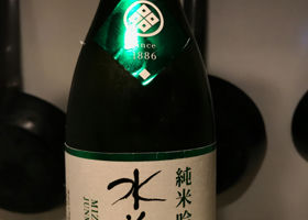 alt 1
