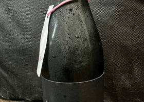 alt 1