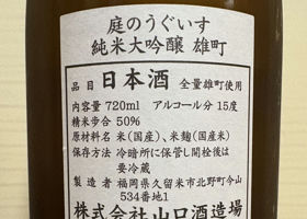 alt 3