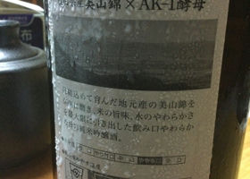 alt 3