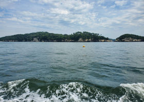 alt 4
