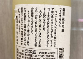 alt 3