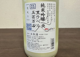 alt 3