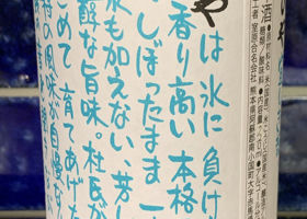 alt 3