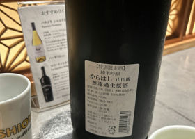 alt 3