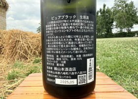 alt 3