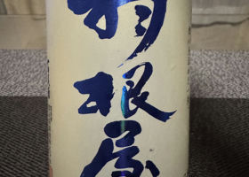 alt 1