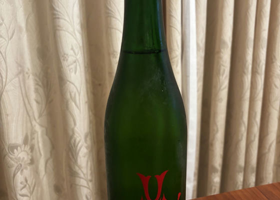 alt 1