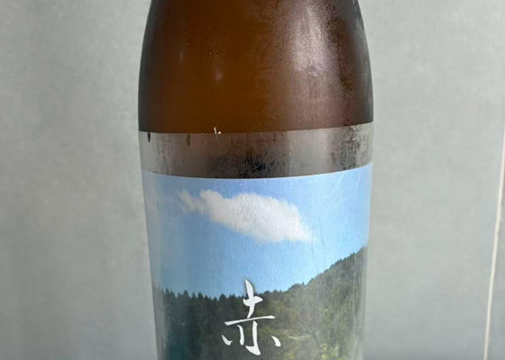 あべ チェックイン 1