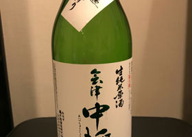 alt 3