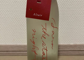 alt 1