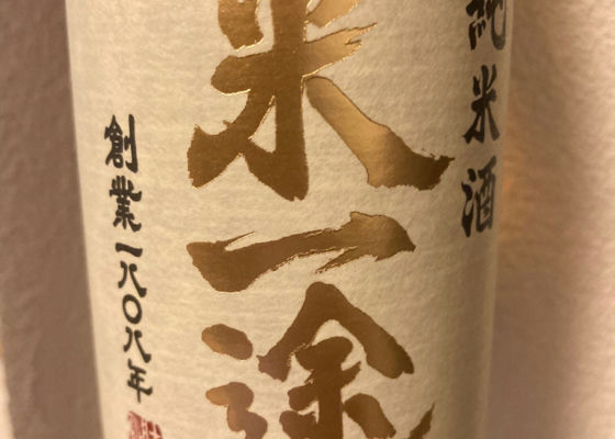 alt 1