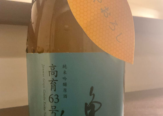 亀泉 チェックイン 1