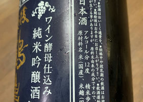 alt 1