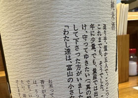 alt 3