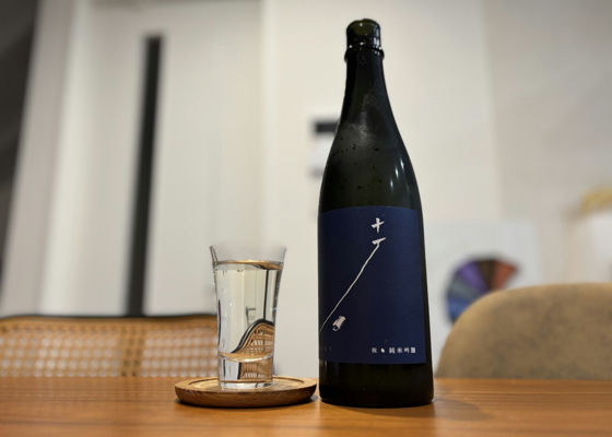 alt 1