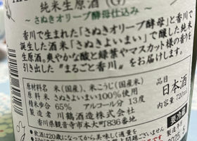 alt 2