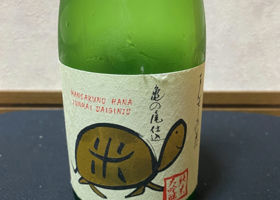 alt 1