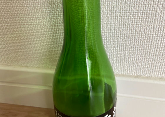 alt 1