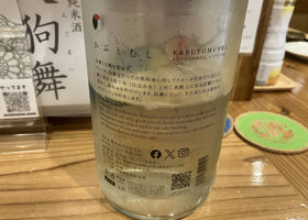 alt 3