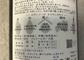 alt 2