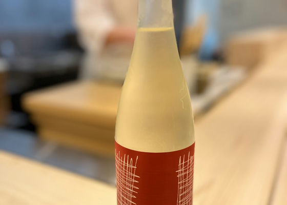 alt 1