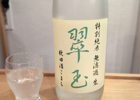 alt 1
