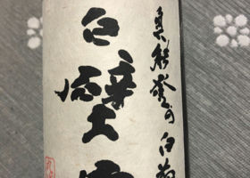 alt 1