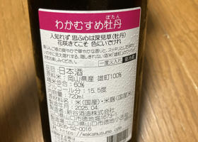 alt 2