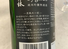 alt 2