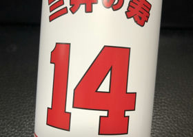 alt 1