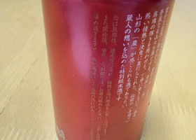 alt 3