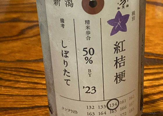 加茂錦 チェックイン 1