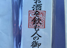 alt 3