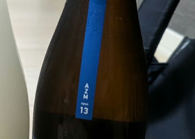alt 1
