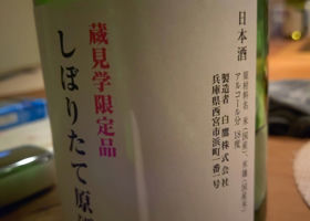 alt 1