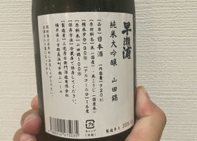 alt 3