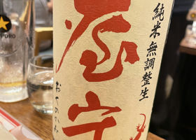 alt 1