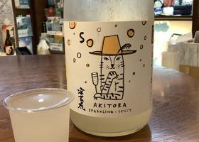 Akitora Check-in 3