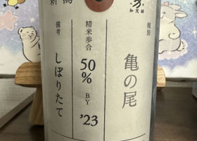 加茂錦 チェックイン 1